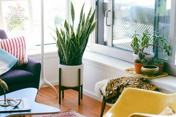 3 sai lầm phong thủy cuối năm khiến Thần Tài quay gót, vào tới cửa còn bỏ đi-1