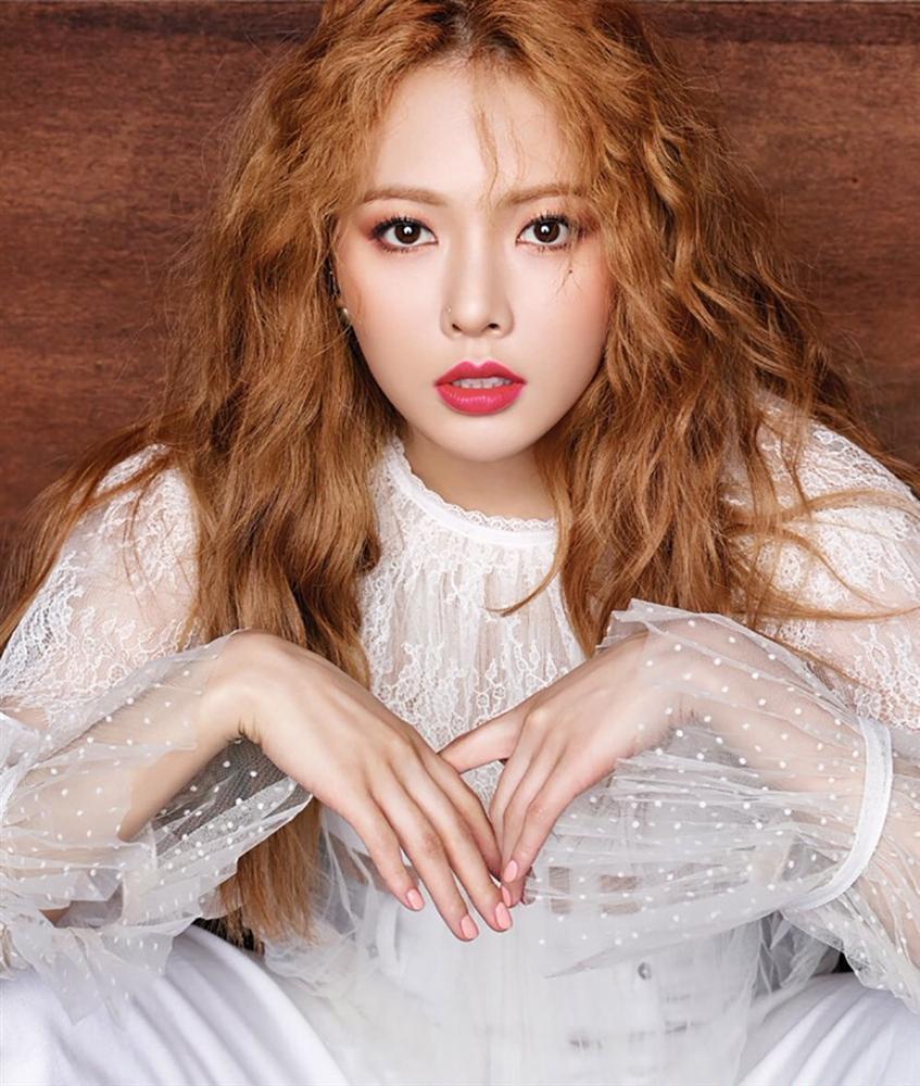 Tử vi thứ Bảy ngày 9/11/2019 của 12 con giáp: Tý hạnh phúc viên mãn, Mão đối mặt chia ly-3