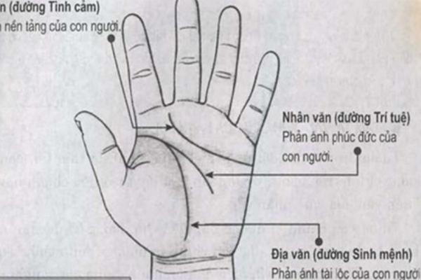 Cố nhân dạy: Muốn biết một người có tiền đồ hay không, cứ nhìn vào 3 điểm này sẽ rõ-3
