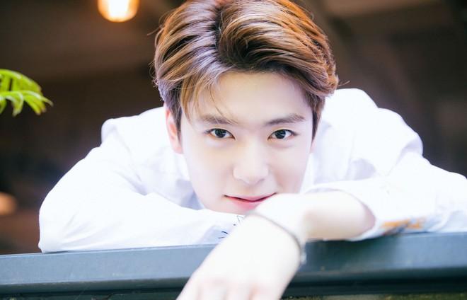 Suzy, IU là những sao Hàn Quốc sở hữu làn da đẹp nhất-4