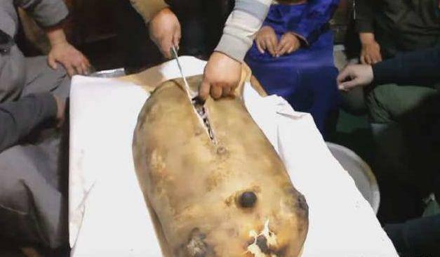 Món ăn tròn trùng trục, nhìn xấu xí nhưng khi bổ ra lại khiến mọi người bất ngờ-2