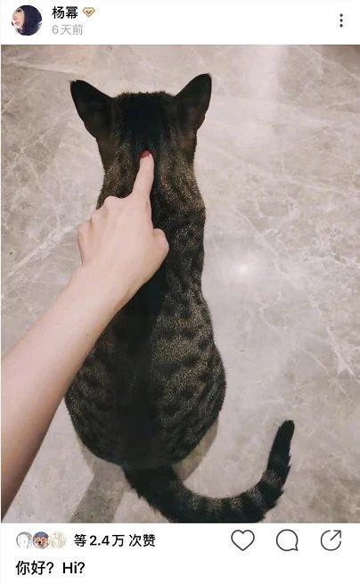 Rộ nghi vấn Dương Mịch cùng Ngụy Đại Huân dọn về nhà sống chung với nhau?-6