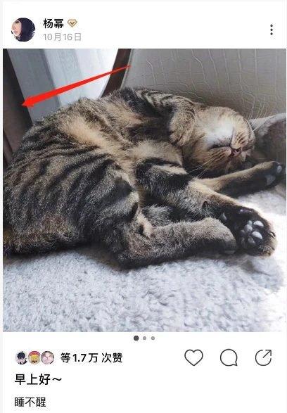 Rộ nghi vấn Dương Mịch cùng Ngụy Đại Huân dọn về nhà sống chung với nhau?-9