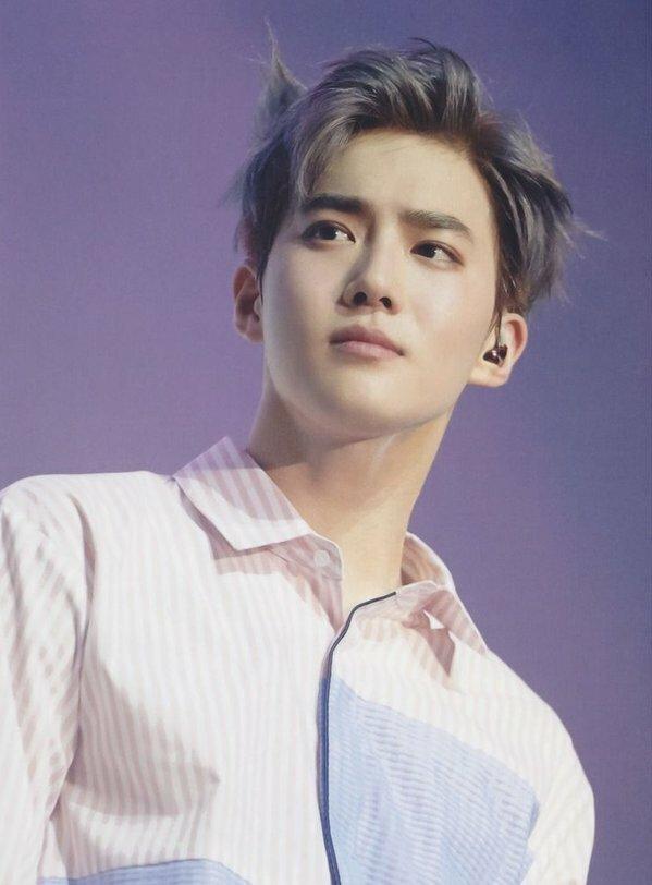 Suho (EXO): Trưởng nhóm của EXO tên thật là Kim Joonmyun. Nghệ danh của anh được chủ tịch của công ty - Lee Sooman đích danh đặt cho với ý nghĩa 'bảo vệ', đúng với trách nhiệm thủ lĩnh một nhóm nhạc của nam thần tượng.