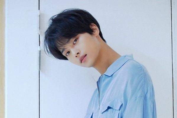N (VIXX): Tên thật của N là Cha HakYeon. Từ cuối trong tên của anh - 'Yeon' khi chuyển đổi tương tự sang tiếng Nhật sẽ là 'Yen' (số phận). Và cả 2 từ này đều kết thúc với chữ cái N nên nam idol sinh năm 1990 chọn nó trở thành nghệ danh của mình.