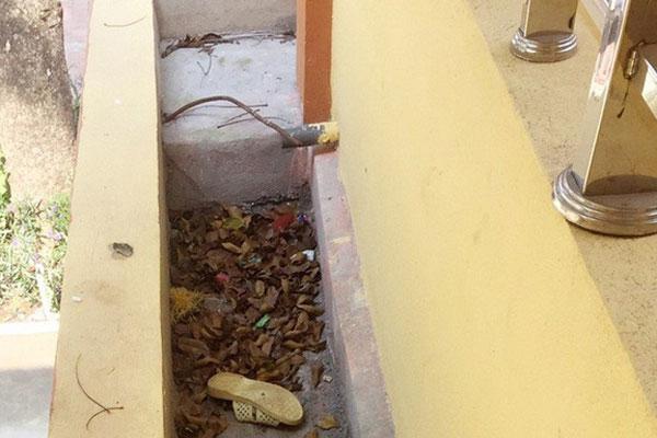 Bắc Giang: Một học sinh lớp 7 bị thương nặng do ngã từ tầng 2 xuống sân trường-1