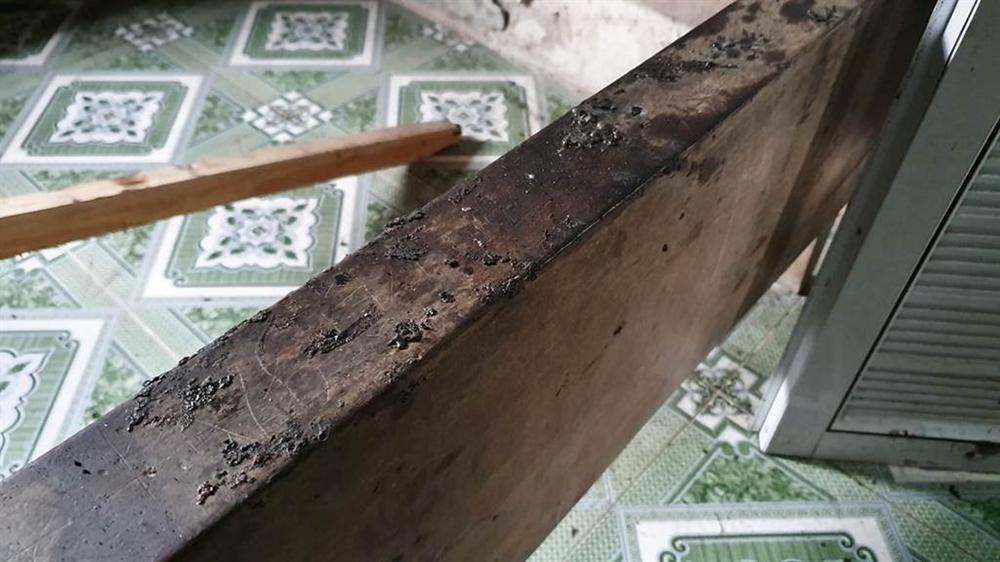 Vụ chồng giết vợ rồi đốt xác ở Thái Bình: Ám ảnh khói đen bao trùm kín hiện trường-13