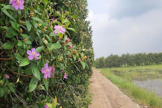 Chồng vừa mất vì ung thư, tôi bị dượng gạ tình giữa đêm