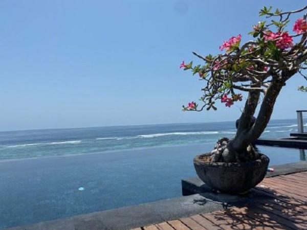 Hạ Tử Vy Lâm Tâm Như bị đồn tiệc tùng thâu đêm, dùng trai đẹp mua vui khiến hôn nhân rạn nứt-3