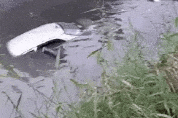 Chuyện lạ: Trước khi về nhà chồng, cô dâu chăm chú heo nặng 160kg trong phòng-3