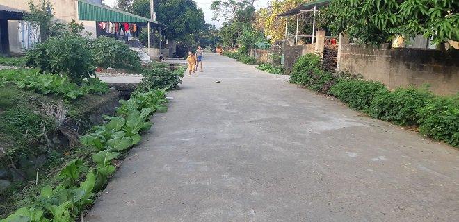 Vụ 3 bố con treo cổ tự tử ở Tuyên Quang: Ám ảnh những dòng chữ kín tường Anh cho em biết thế nào là đau khổ vô tận-7