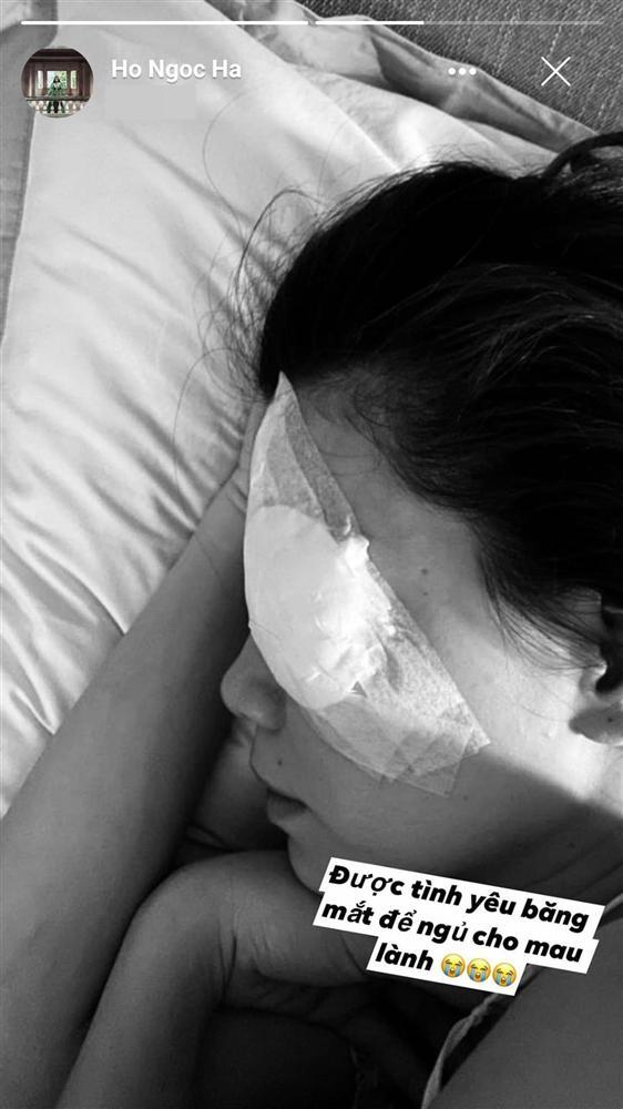 Hồ Ngọc Hà phải đeo kính râm khi chụp hình cùng vợ chồng Á hậu Ngô Trà My-6