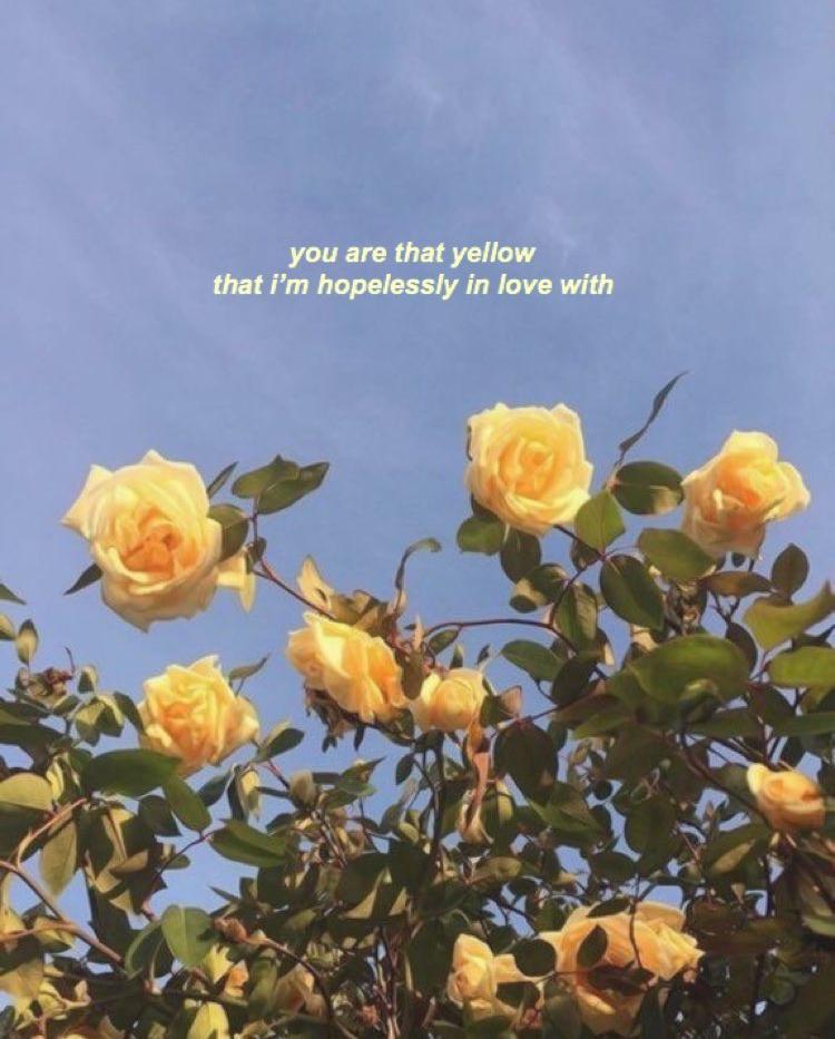 Tử vi thứ Tư ngày 20/11/2019 của 12 con giáp: Tuất tài lộc khởi sắc, Tý tình cảm phai nhạt-3