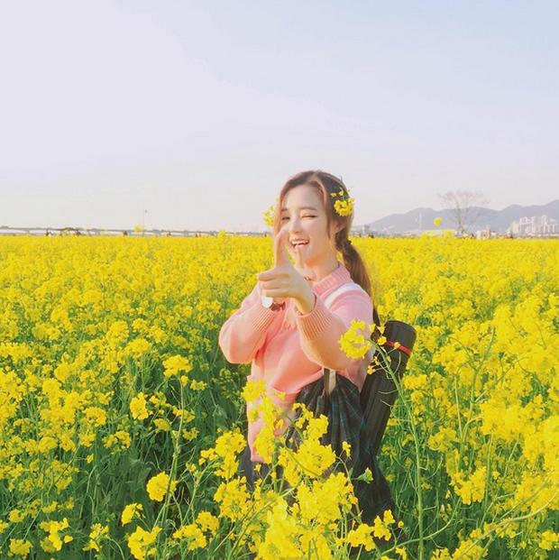 Tử vi Thứ năm ngày 21/11/2019 của 12 cung hoàng đạo: Sư Tử loay hoay tìm phương hướng, Xử Nữ đường tình rực rỡ-1