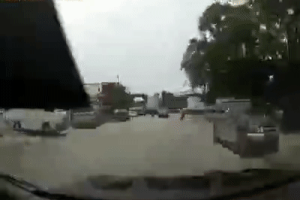 Clip: Chết cười nhìn người đàn ông đi xe máy bị chó đuổi tông trực diện vào đầu ô tô, 'thủ phạm' dửng dưng quay đầu bỏ đi