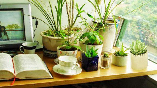 5 tối kỵ khi bố trí phong thủy phòng làm việc, ai mắc phải đổi ngay kẻo rước họa-4