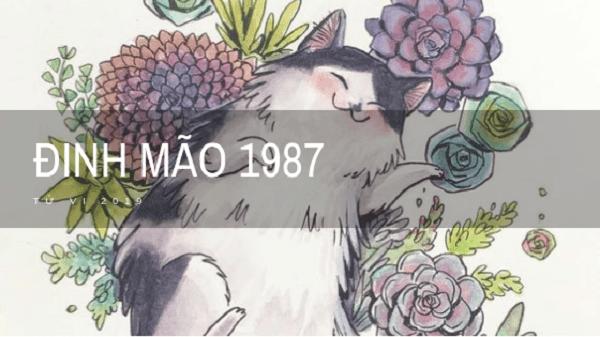 Tuổi Đinh Mão hợp hướng nào để tiền lộc vào nhà như nước?-1