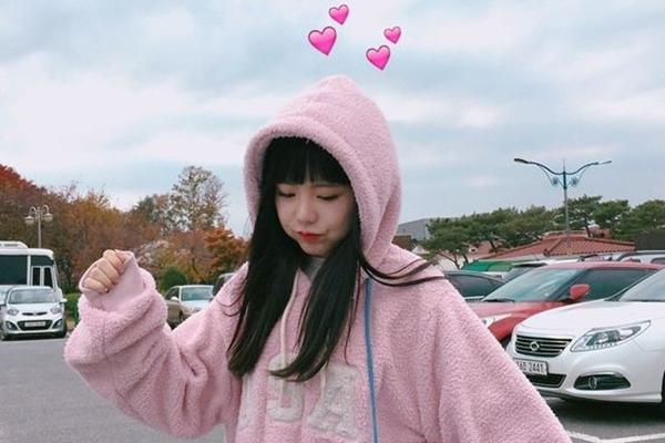 Cây trầu bà hợp tuổi nào, mệnh nào? Tại sao cây trầu bà lại được ưa thích nhiều đến vậy?-4