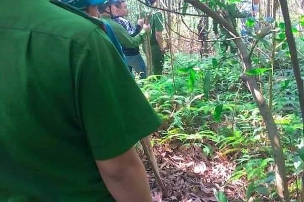 Trăm cảnh sát bao vây kẻ bắt nữ tài xế taxi Hải Phòng đưa lên núi-1