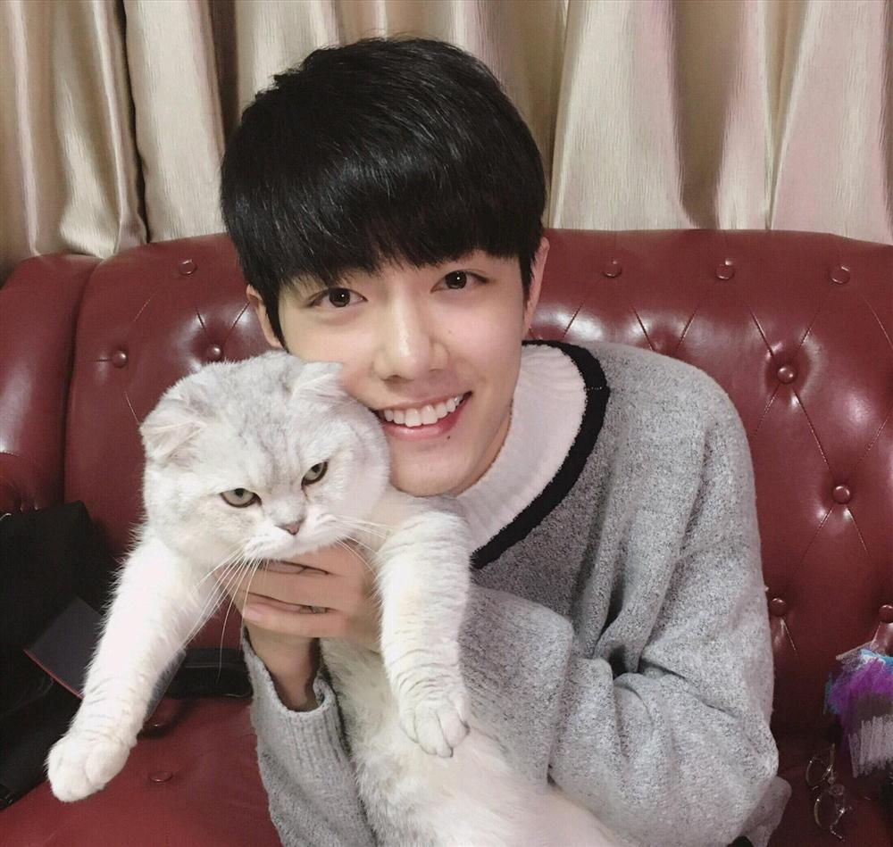 Sau Vương Nhất Bác, Tiêu Chiến cũng vướng nghi án phẫu thuật thẩm mỹ-11