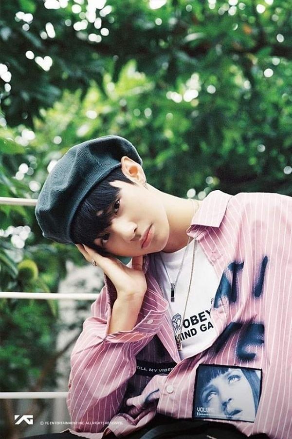 Wang JyunHao chưa chính thức ra mắt nhưng đã được công chúng biết tới vì liên tục tham gia hai chương trình thực tế: Mixnine và Produce X 101. Tuy không giành chiến thắng nhưng Wang JyunHao vẫn sở hữu lượng fan hâm mộ đông đảo nhờ ngoại hình điển trai và sự nỗ lực không ngừng của mình. Hiện, Wang Jyunhao đã rời YG Entertainment và đầu quân cho Oui để tiếp tục sự nghiệp thần tượng của mình.