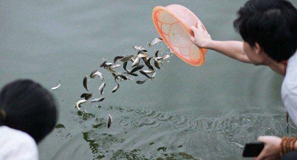 5 cách hóa giải vận xui, dọn đường nghênh tài đón lộc, ai không biết thiệt cả đời-1