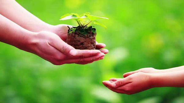 5 cách hóa giải vận xui, dọn đường nghênh tài đón lộc, ai không biết thiệt cả đời-3