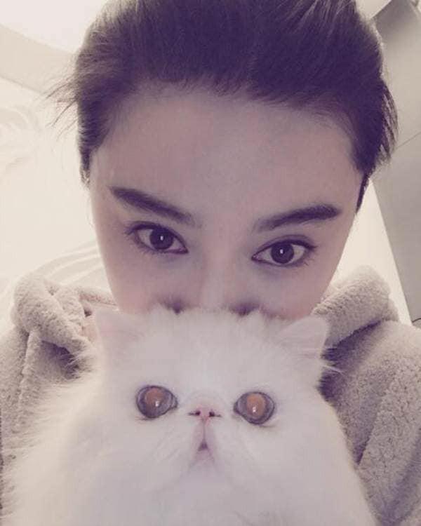 Phạm Băng Băng chúc mừng sinh nhật tình cũ Lý Thần-1