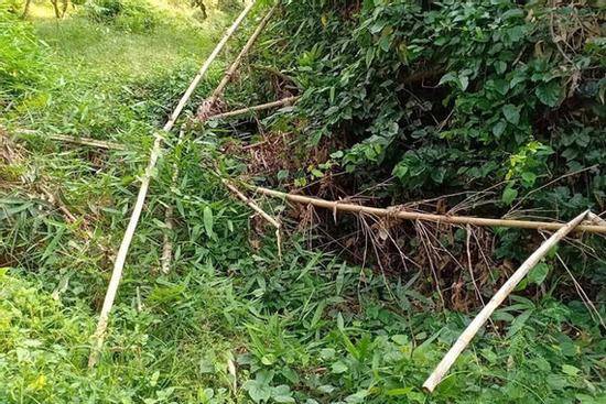 Vụ phát hiện nửa thi thể trong bụi rậm: Tìm thấy phần đầu cách hiện trường ban đầu khoảng 50m