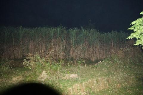 Mẹ kế sát hại bé trai, phi tang xác: Tôi sai rồi-2