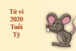 Tử vi tuổi Tý năm 2020: Thị phi bủa vây, tiền bạc thất thoát nhưng vẫn có nhiều cơ may nếu gặp được quý nhân