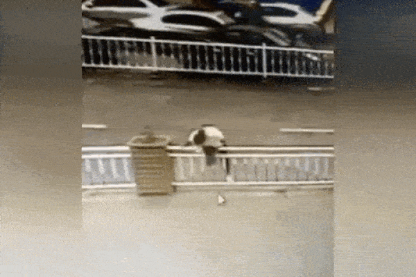 Hà Nội: Xe biển xanh gây tai nạn rồi bỏ chạy, tài xế cố thủ trên xe-3