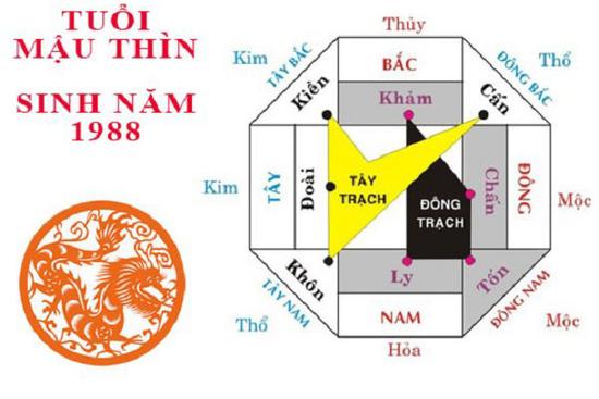 Tuổi Mậu Thìn hợp hướng nào giúp gia chủ tấn tài tấn lộc, tiền vào như nước?