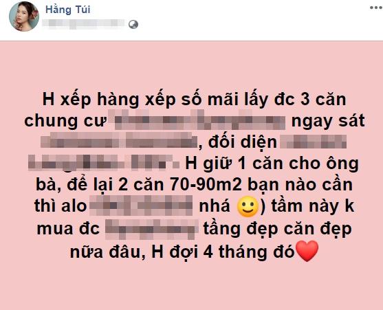 Vừa bị tố bán hàng nhập lậu, Hằng Túi khẳng định đẳng cấp đại gia khi mua cùng lúc 3 chung cư-1