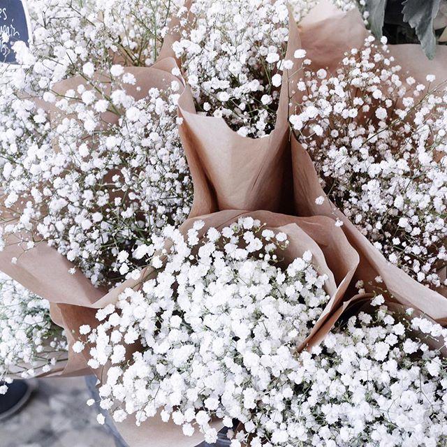 Tử vi thứ Sáu ngày 29/11/2019 của 12 con giáp: Tỵ cần chú ý ngoại hình, Ngọ có kẻ ghen ăn tức ở-2