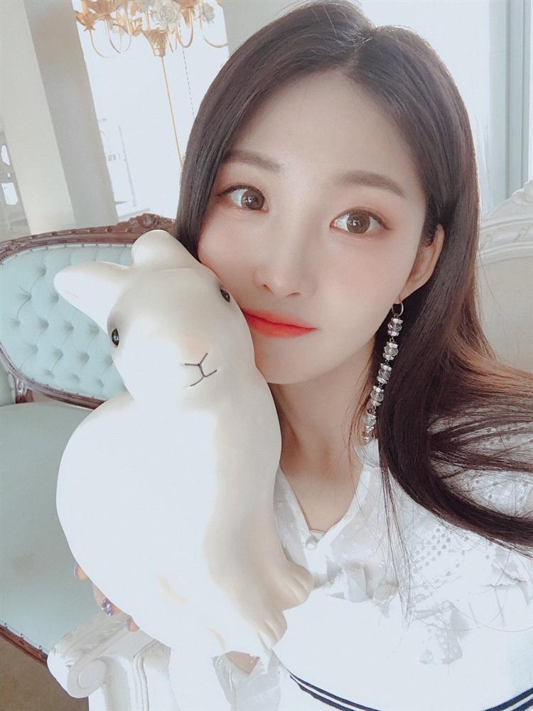 Tử vi thứ Sáu ngày 29/11/2019 của 12 con giáp: Tỵ cần chú ý ngoại hình, Ngọ có kẻ ghen ăn tức ở-3