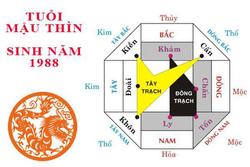 Sinh năm 1988 mệnh gì? Hợp nhà màu gì để cuộc đời nở hoa?