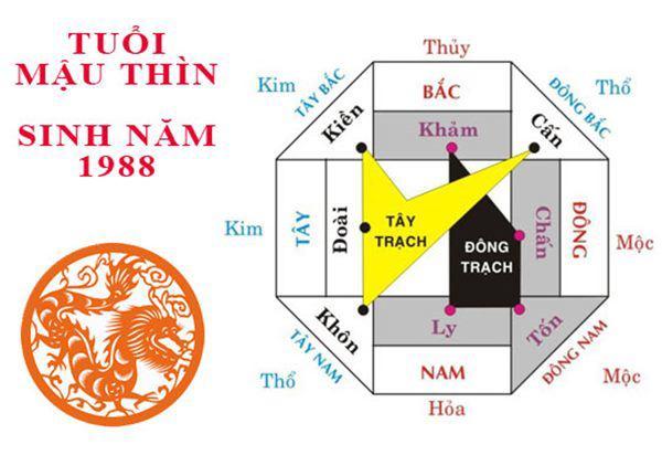 Sinh năm 1988 mệnh gì? Hợp nhà màu gì để cuộc đời nở hoa?-3