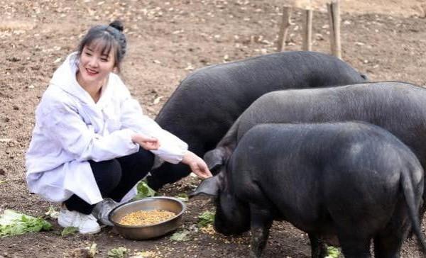 Xinh đẹp nhưng vẫn độc thân, ông bố hối thúc con gái 24 tuổi cưới chồng, tặng kèm sính lễ 300 con lợn-2