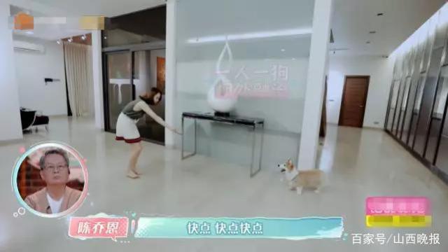 Gia thế trai trẻ bị đồn yêu Trần Kiều Ân: Quý tử nhà đại gia Malaysia, giàu tới mức sở hữu trực thăng riêng-9