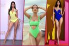 Lộ diện mẫu bikini ở Miss Universe, xanh neon được fan vote 'điên đảo' cho Hoàng Thùy