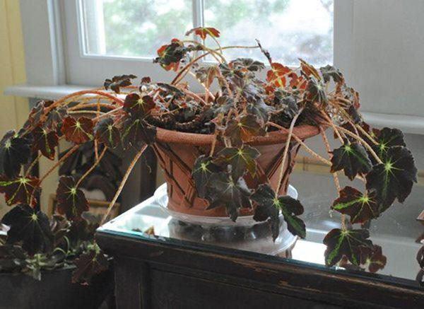 Ngủ dậy thấy 5 dấu hiệu này, chạy ngay đi bởi nhà bạn sắp đón tai họa-1