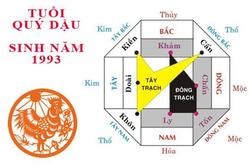 Sinh năm 1993 mệnh gì? Sơn nhà màu gì để nghênh tài, đón lộc?