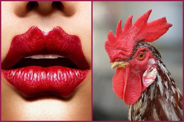 Môi Mazda hết thời, dân mạng lại xôn xao vì kiểu môi răng cưa, môi mào gà đón Tết-4