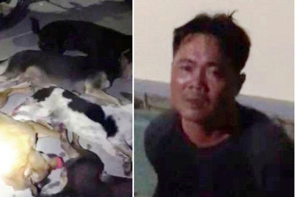 Tên trộm chó nhảy xuống ao khi gặp cảnh sát giao thông-1