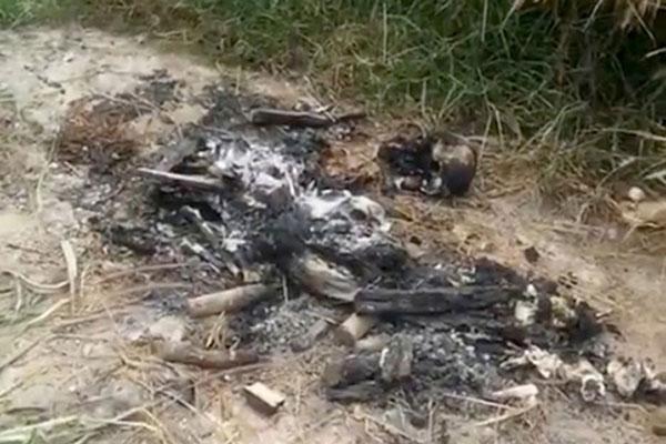 Bộ xương bị đốt cháy đen, còn sót lại hộp sọ trong đống tro tàn ở nghĩa địa Sài Gòn là xương người-2