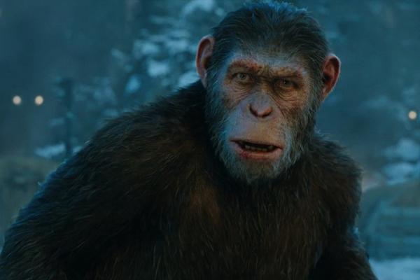 Caesar trong Planet of the Apes: Với loạt phim tái khởi động loạt Hành tinh khỉ, khán giả như được chiêm ngưỡng một “kỳ quan điện ảnh”. Qua từng tập phim, Caesar ngày một trở nên sinh động hơn, chân thực hơn, dưới phần diễn xuất của Andy Serkis và công nghệ tân tiến. Nhân vật xuất sắc đến nỗi có nhiều tranh cãi nổ ra về việc liệu có nên trao đề cử Oscar về diễn xuất cho Serkis hay không sau khi loạt phim khép lại.