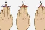 Chiều dài ngón tay tiết lộ điều thú vị trong tính cách bạn-5