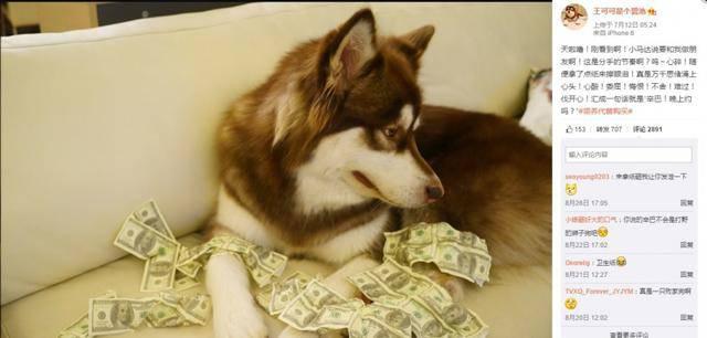 Thiếu gia từng đeo đồng hồ mạ vàng cho chó, một lần đi hát đốt 8 tỷ giờ ra sao?-3