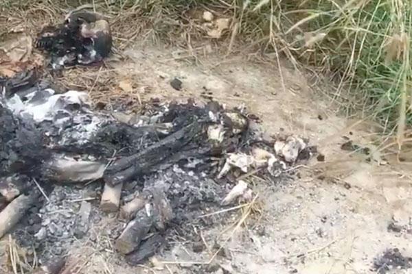 Bộ xương bị đốt cháy đen, còn sót lại hộp sọ trong đống tro tàn ở nghĩa địa Sài Gòn là xương người-1